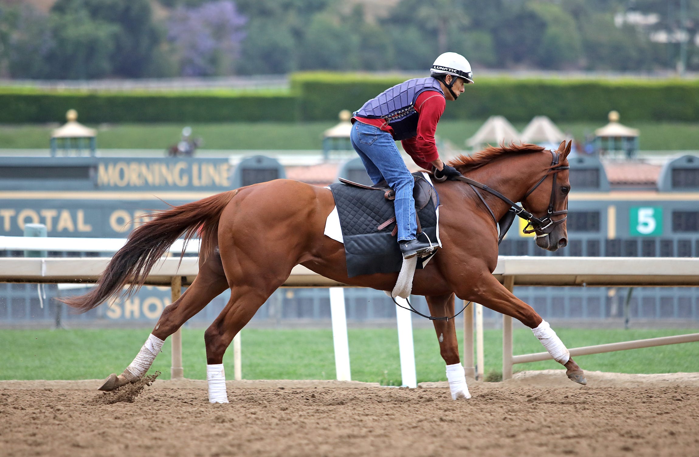 Geaux Rocket Ride going straight to San Felipe